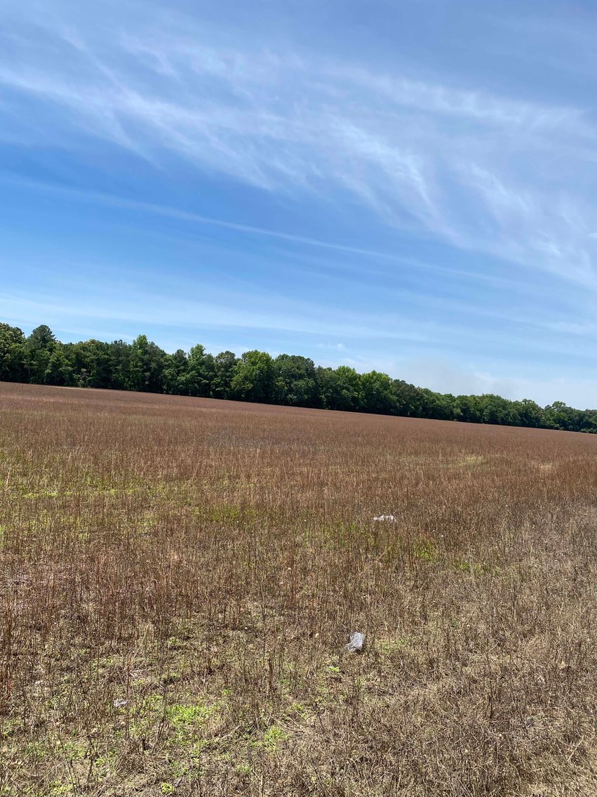 Image for 68+ Acres divided into 8 tracts being sold at Absolute Auction in Southern Harnett County!