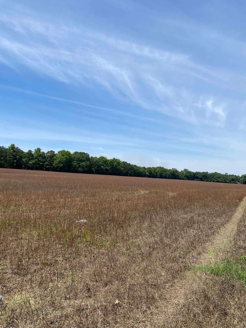 Image for 68+ Acres divided into 8 tracts being sold at Absolute Auction in Southern Harnett County!