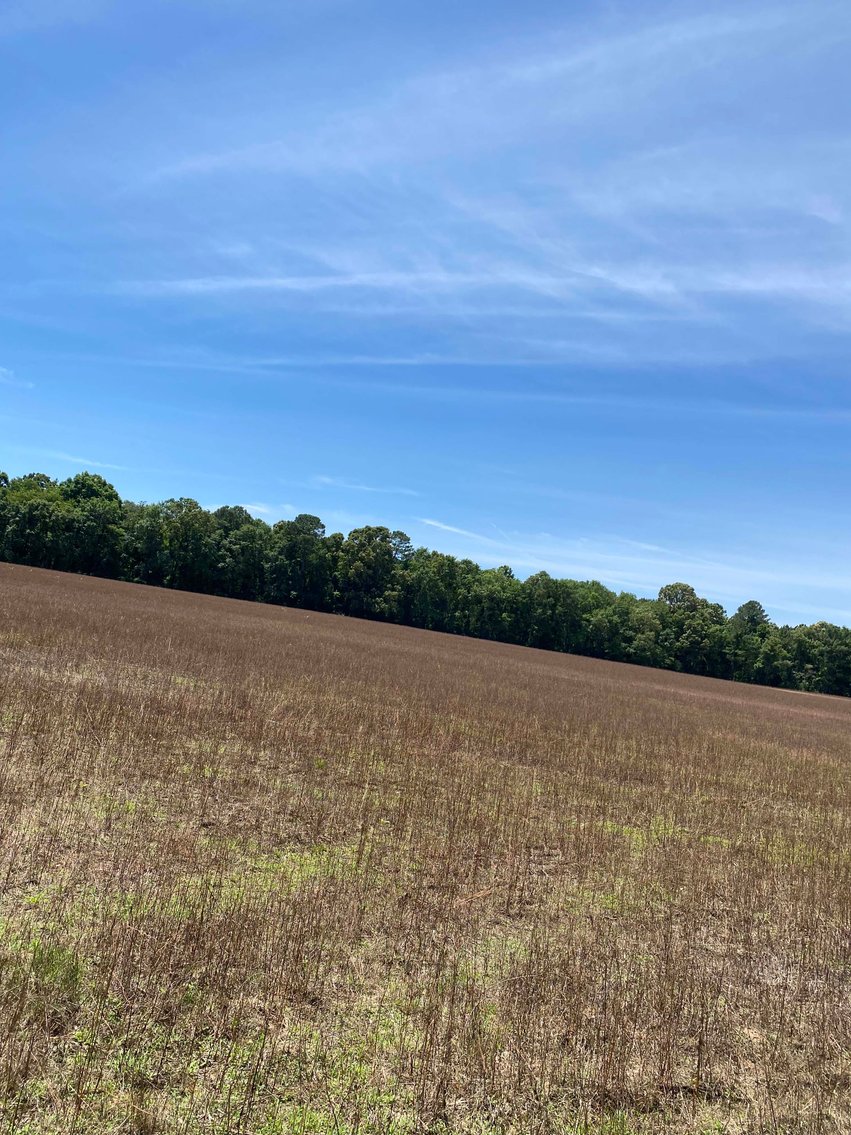 Image for 68+ Acres divided into 8 tracts being sold at Absolute Auction in Southern Harnett County!