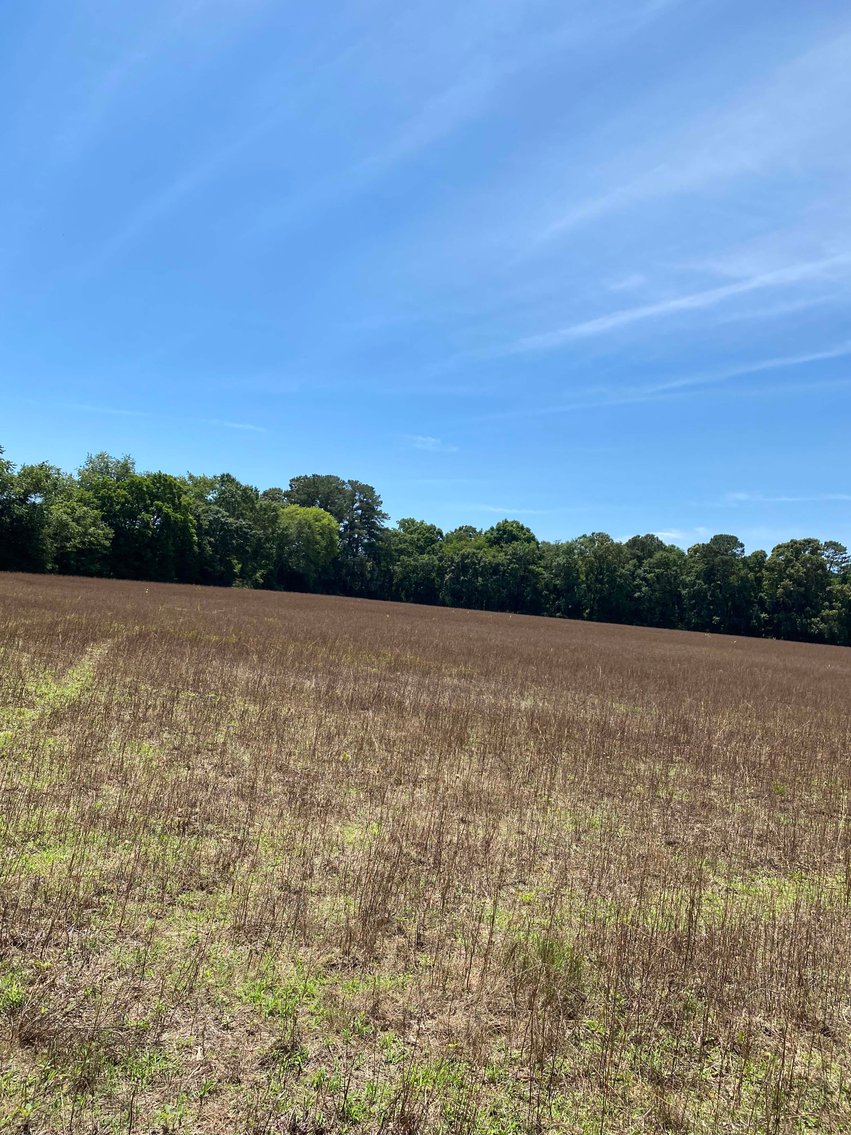 Image for 68+ Acres divided into 8 tracts being sold at Absolute Auction in Southern Harnett County!