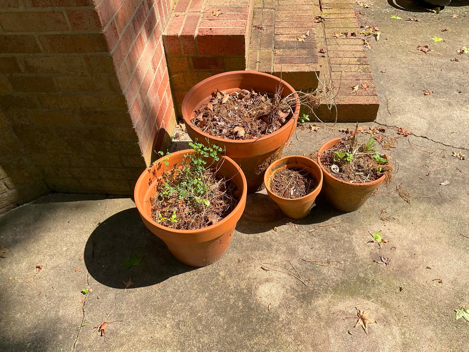 Image for Online Only Estate Auction out of Selma, NC