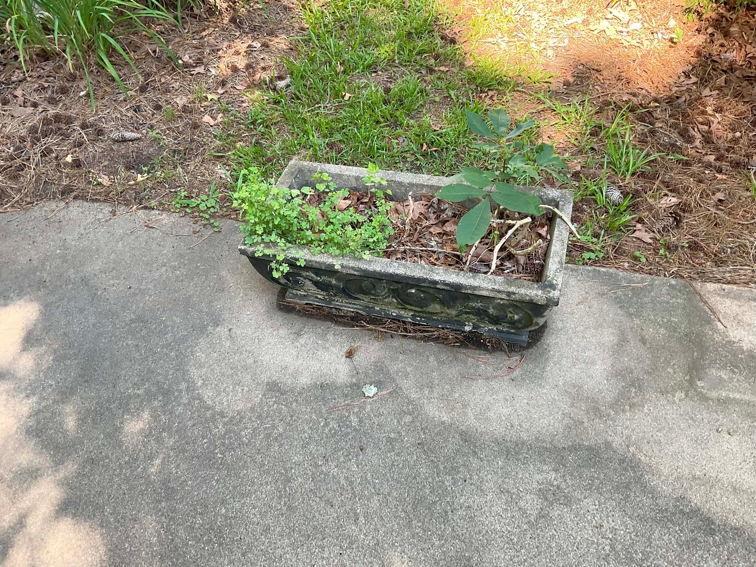 Image for Online Only Estate Auction out of Selma, NC