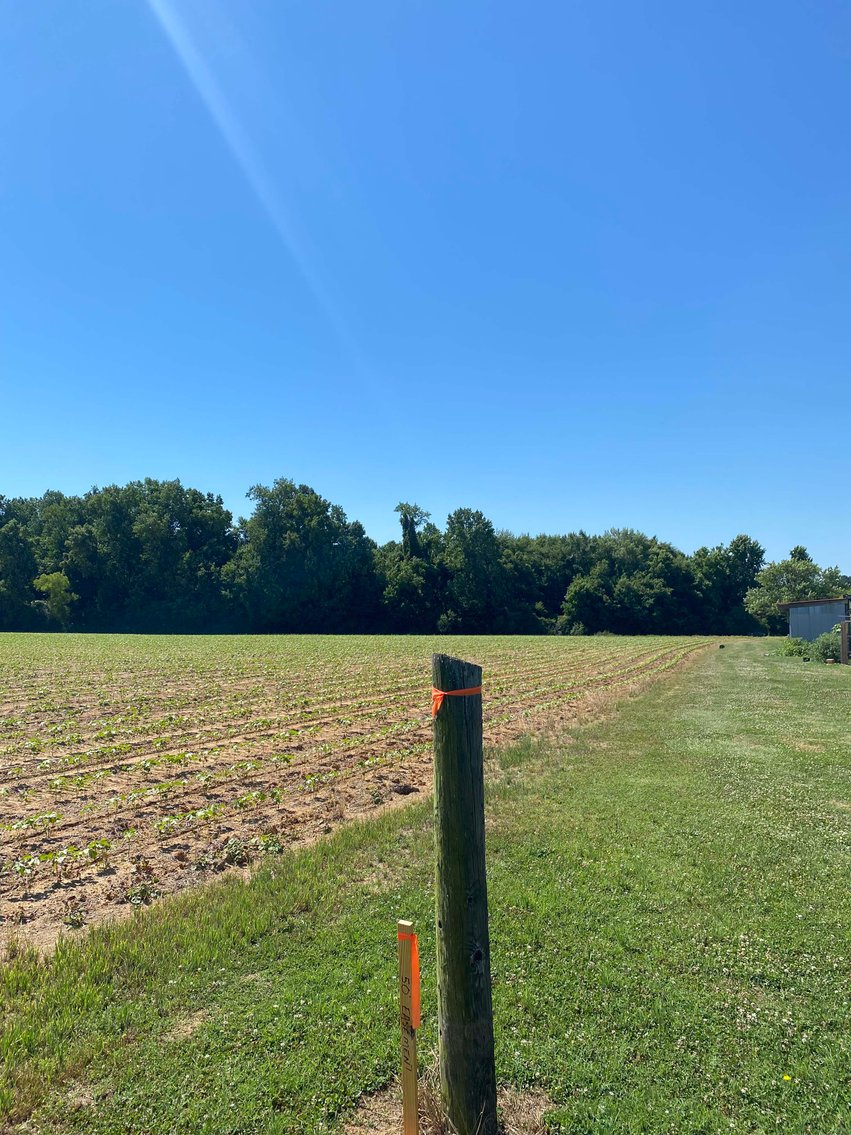 Image for Multiple Tracts offered throughout Harnett County at Absolute Auction!