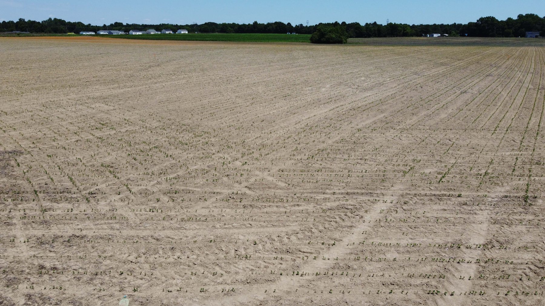 Image for Multiple Tracts offered throughout Harnett County at Absolute Auction!