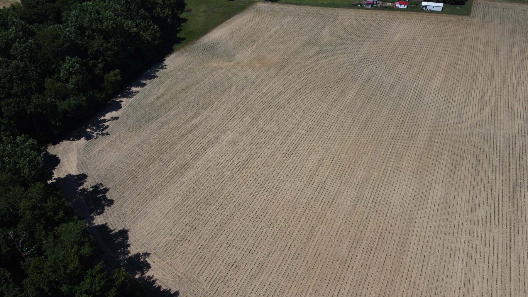 Image for Multiple Tracts offered throughout Harnett County at Absolute Auction!