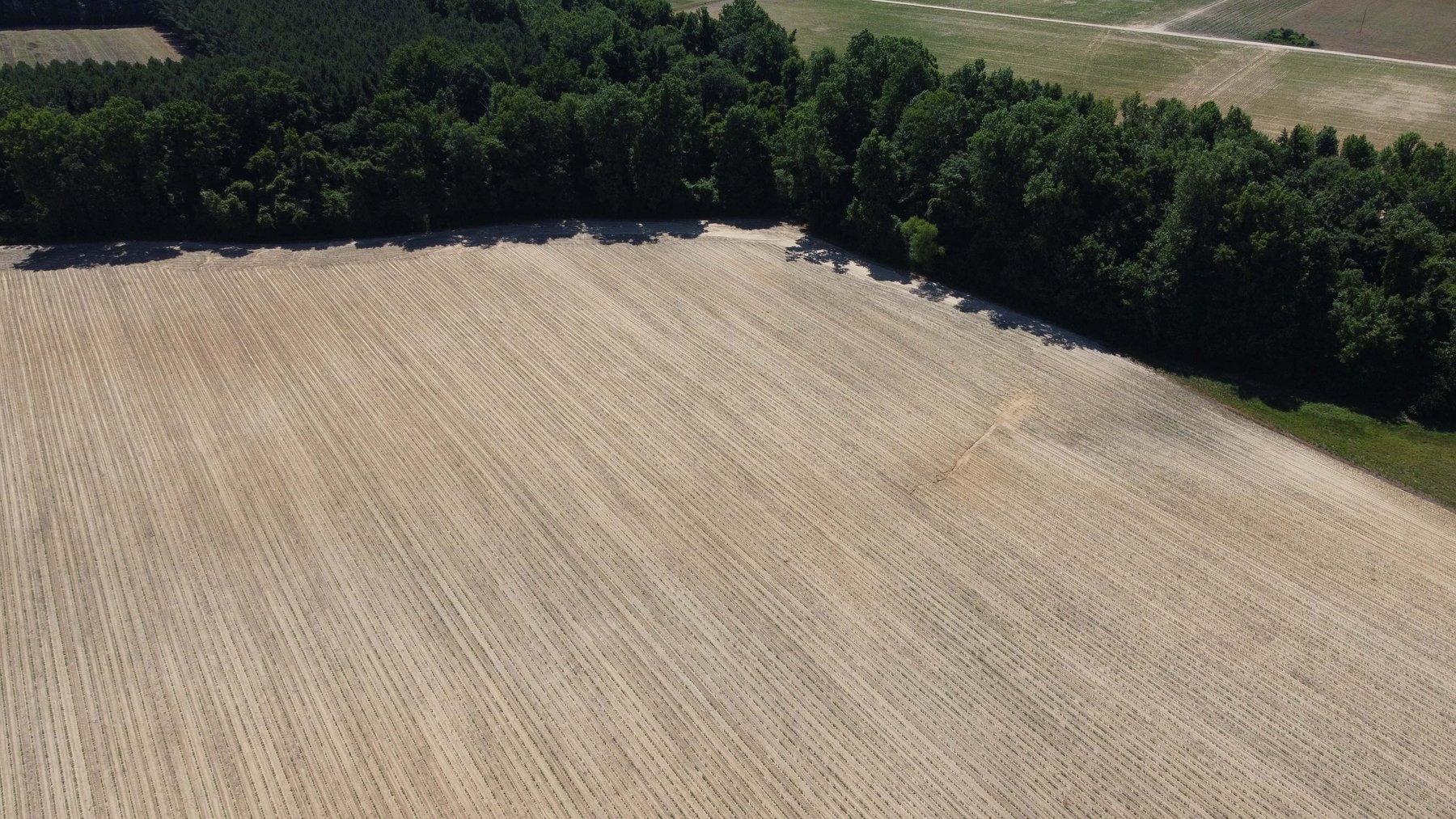 Image for Multiple Tracts offered throughout Harnett County at Absolute Auction!