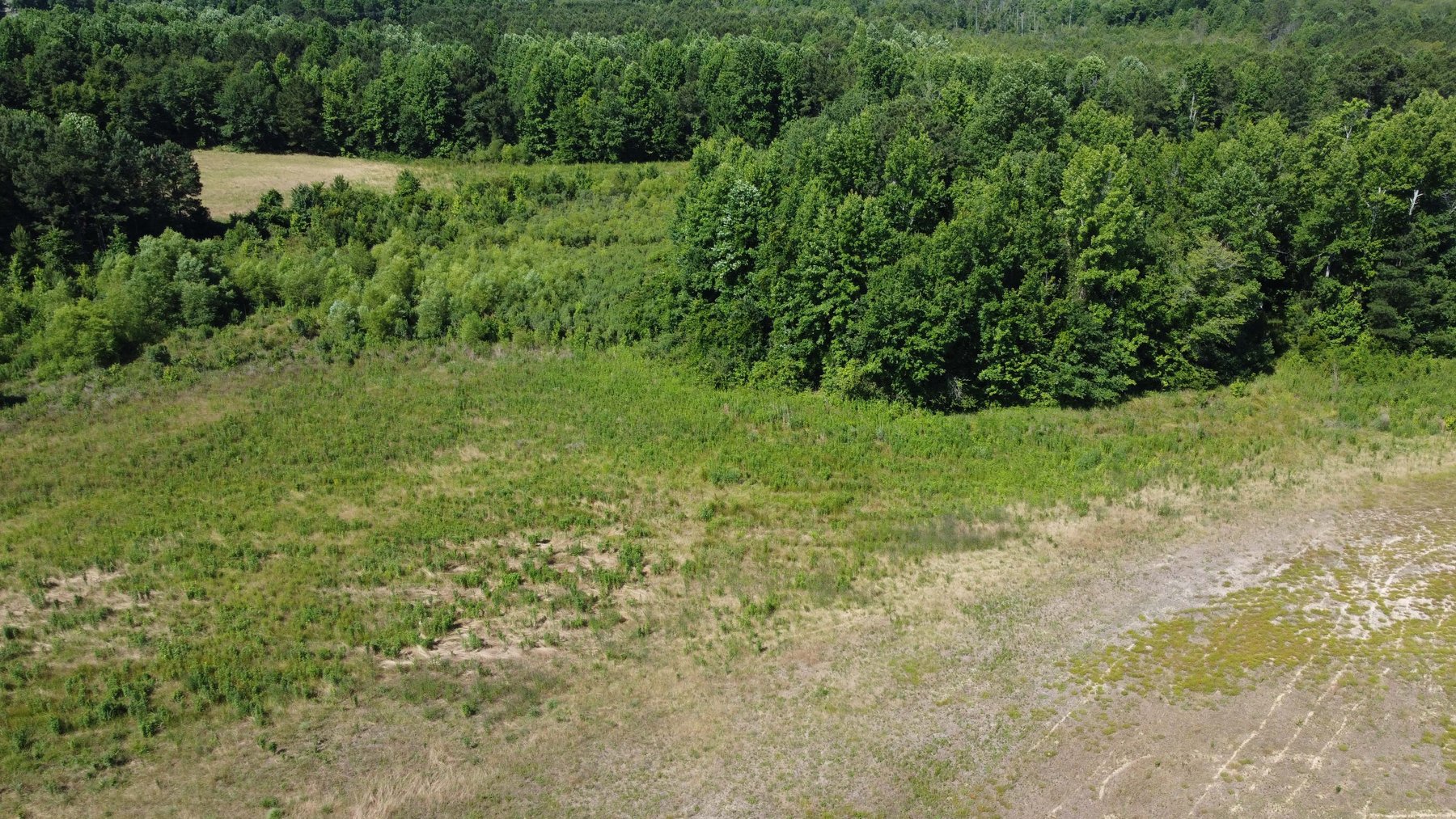 Image for 75 plus acres in Sampson County!