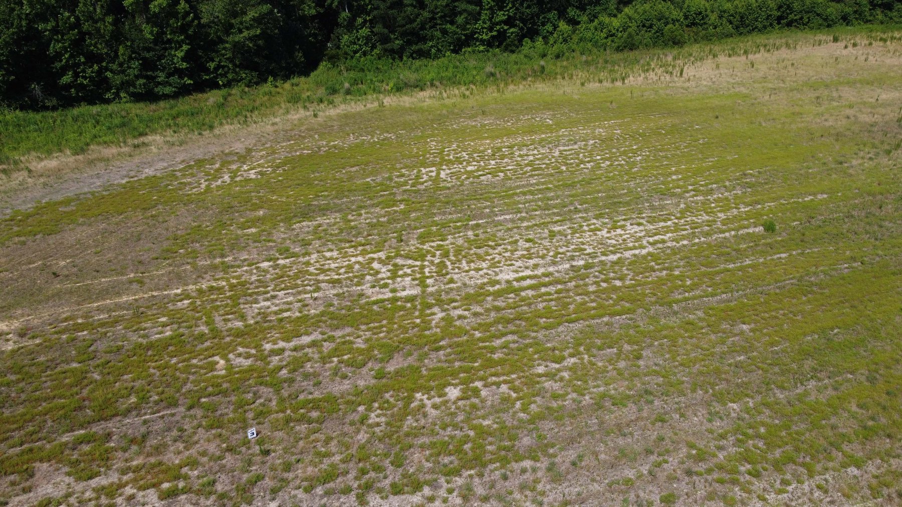Image for 75 plus acres in Sampson County!