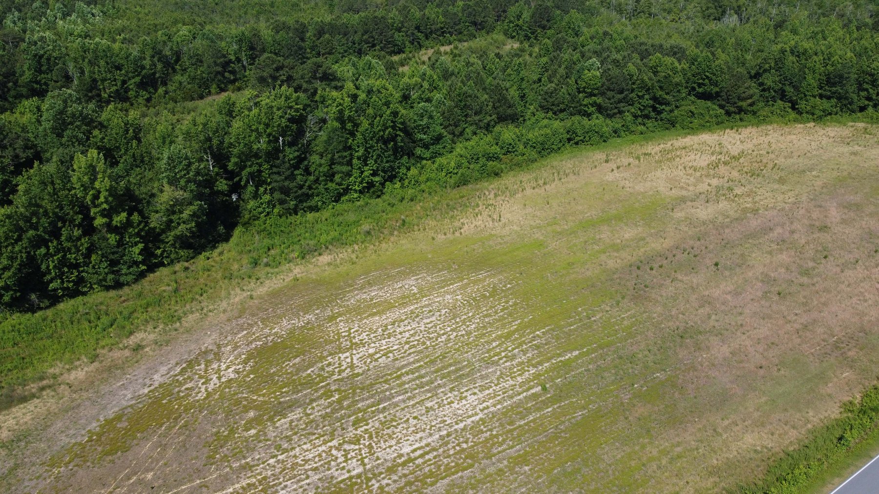 Image for 75 plus acres in Sampson County!