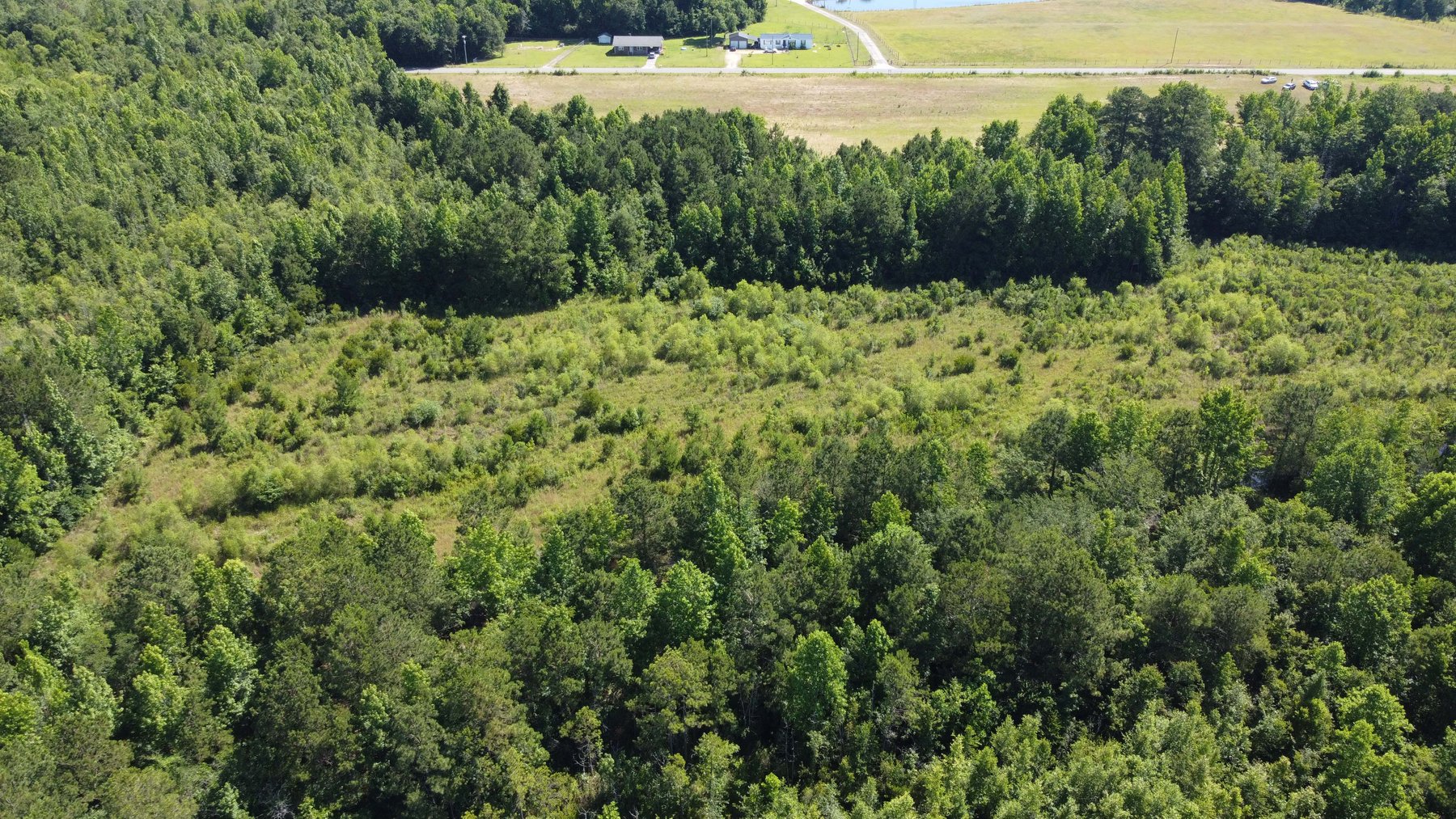 Image for 75 plus acres in Sampson County!