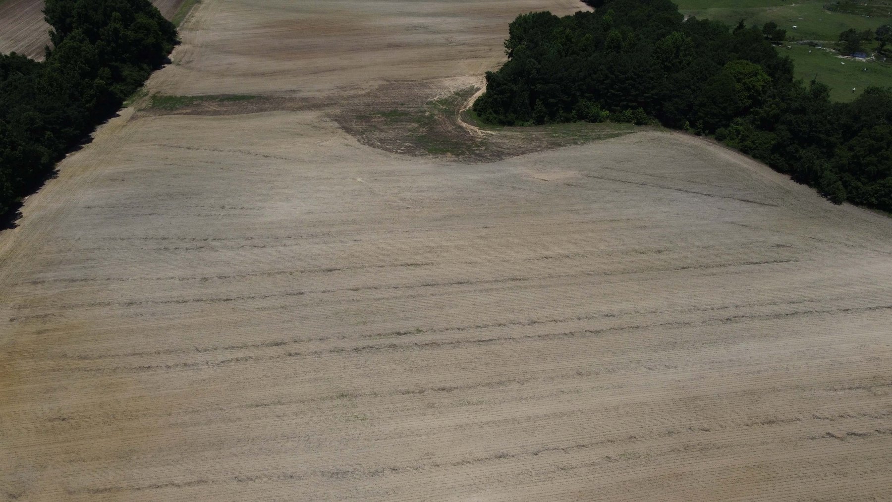 Image for Multiple Tracts offered throughout Harnett County at Absolute Auction!