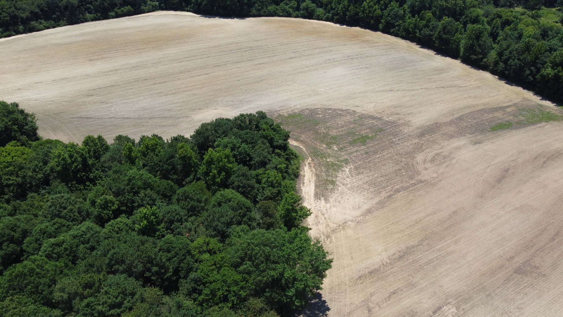 Image for Multiple Tracts offered throughout Harnett County at Absolute Auction!