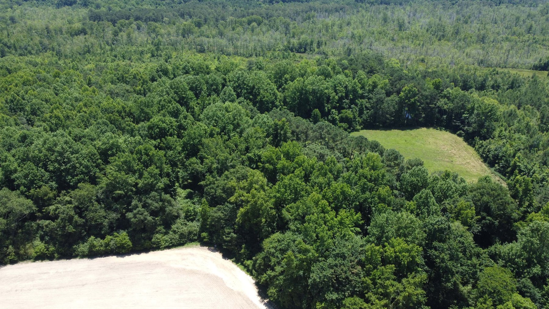 Image for Multiple Tracts offered throughout Harnett County at Absolute Auction!