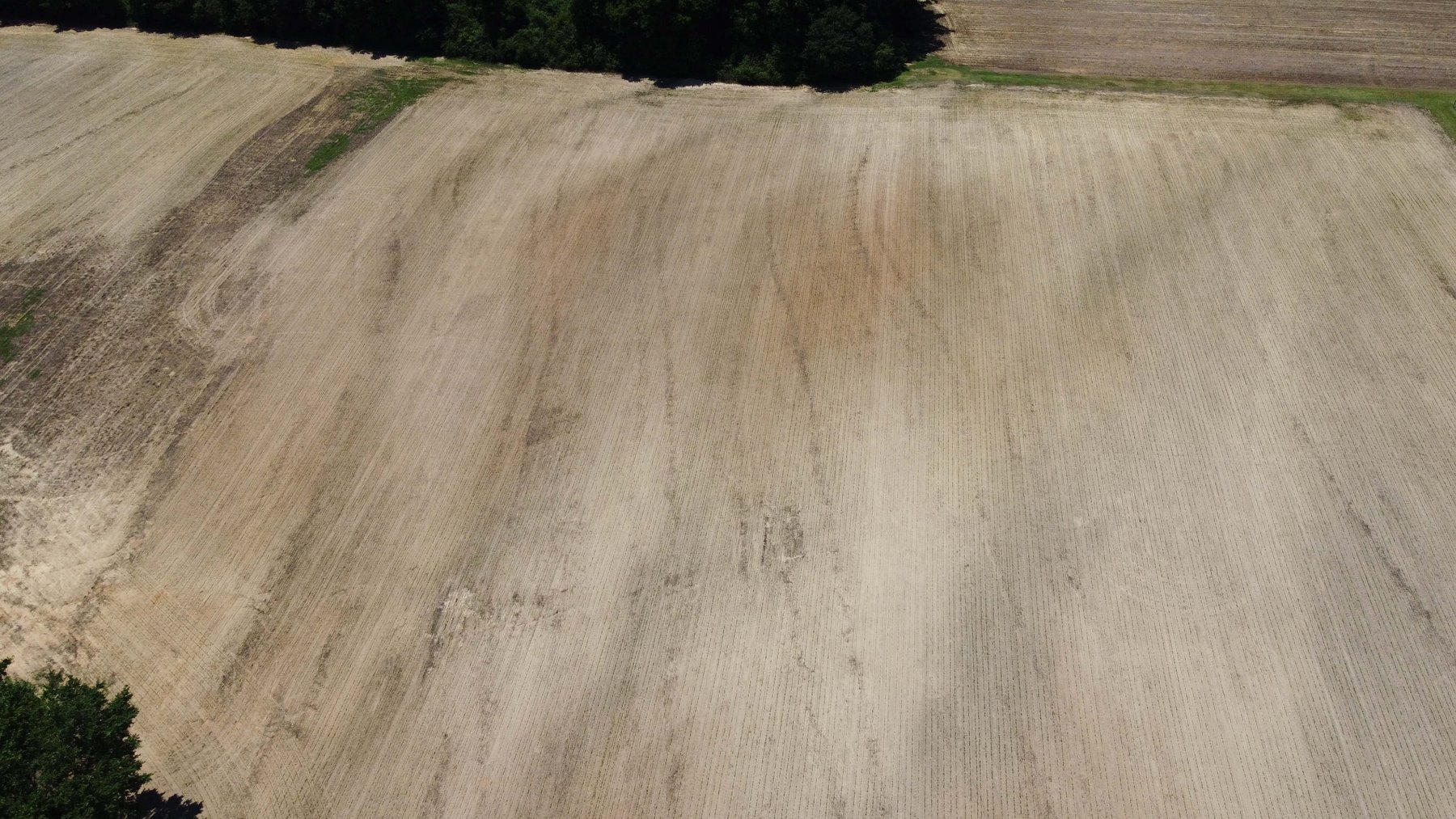 Image for Multiple Tracts offered throughout Harnett County at Absolute Auction!