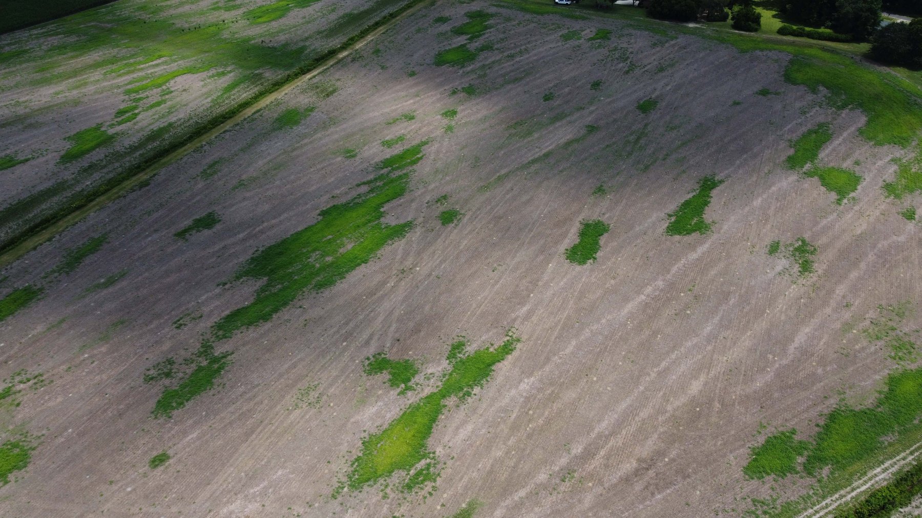 Image for The John J. Madura Estate (deceased) Cumberland County  Real Estate Auction!  65 + acres divided and a Home!