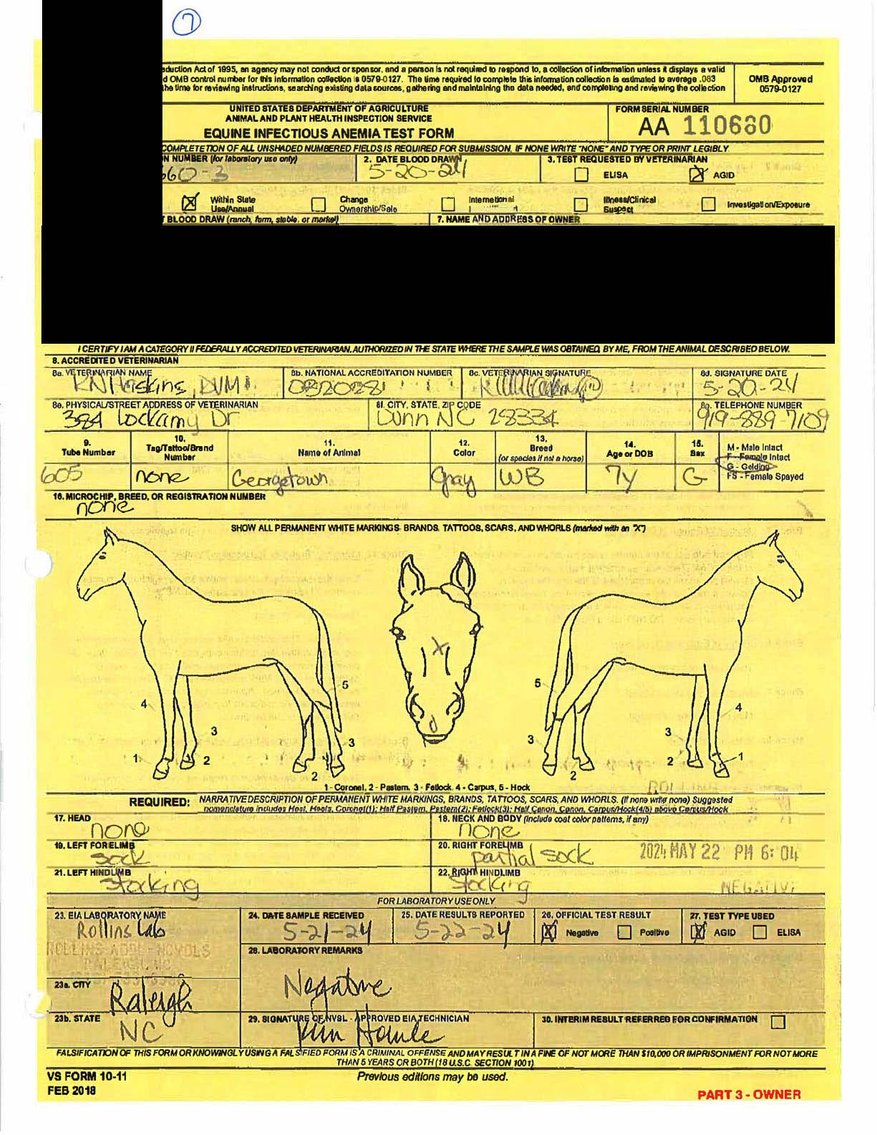 Image for Auction of 7 Horses!