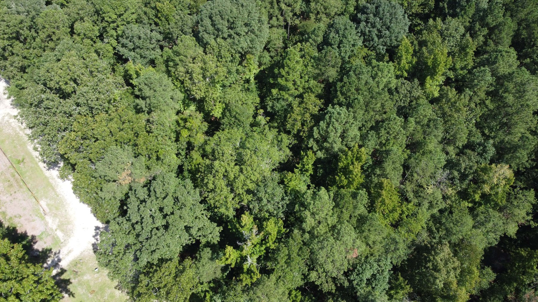 Image for 68+ Acres divided into 8 tracts being sold at Absolute Auction in Southern Harnett County!