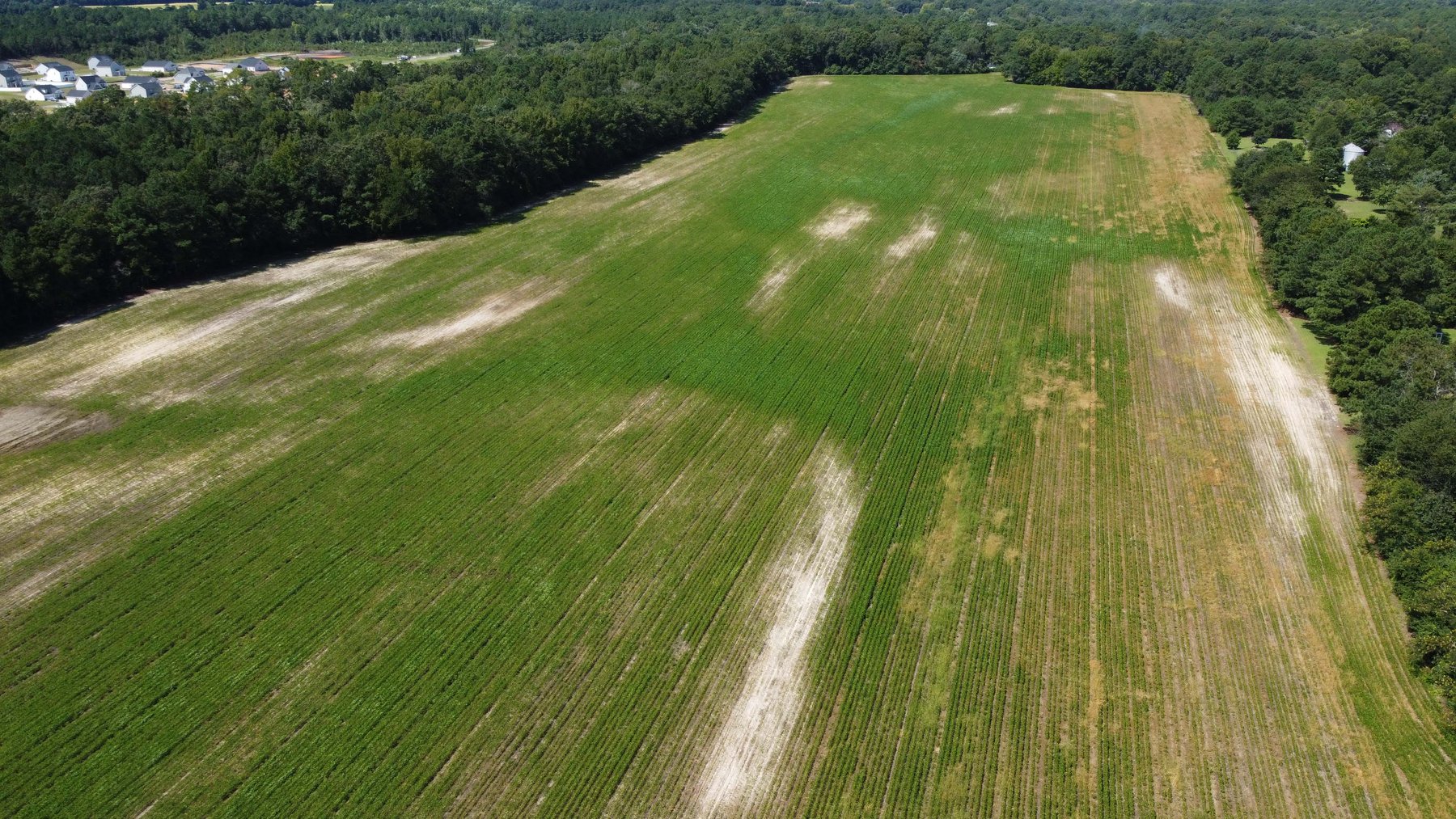 Image for 68+ Acres divided into 8 tracts being sold at Absolute Auction in Southern Harnett County!