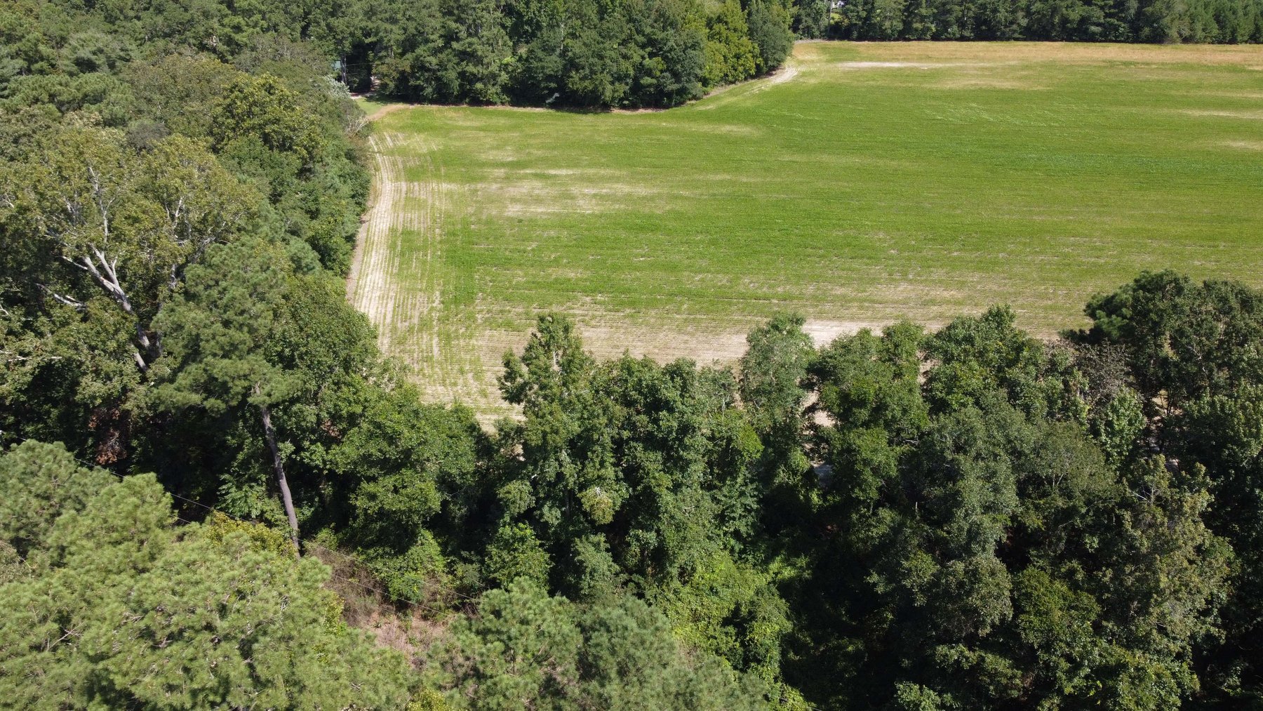 Image for 68+ Acres divided into 8 tracts being sold at Absolute Auction in Southern Harnett County!