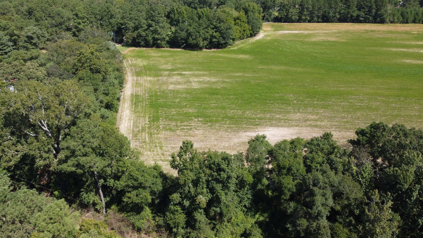 Image for 68+ Acres divided into 8 tracts being sold at Absolute Auction in Southern Harnett County!