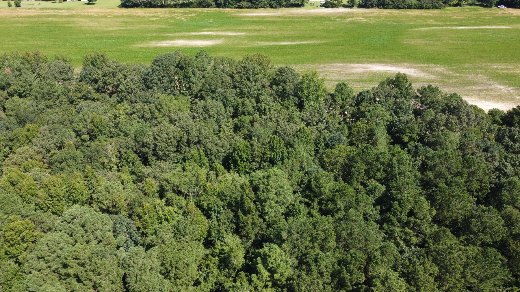 Image for 68+ Acres divided into 8 tracts being sold at Absolute Auction in Southern Harnett County!