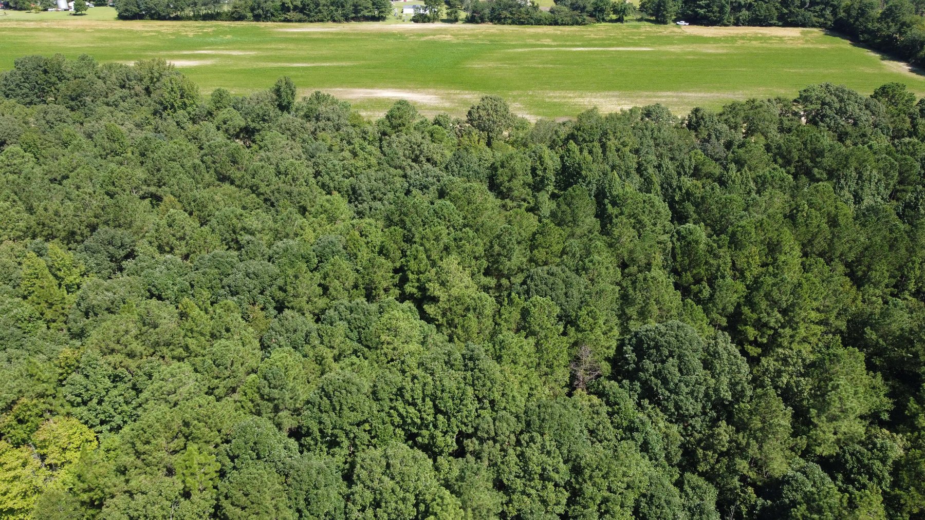 Image for 68+ Acres divided into 8 tracts being sold at Absolute Auction in Southern Harnett County!