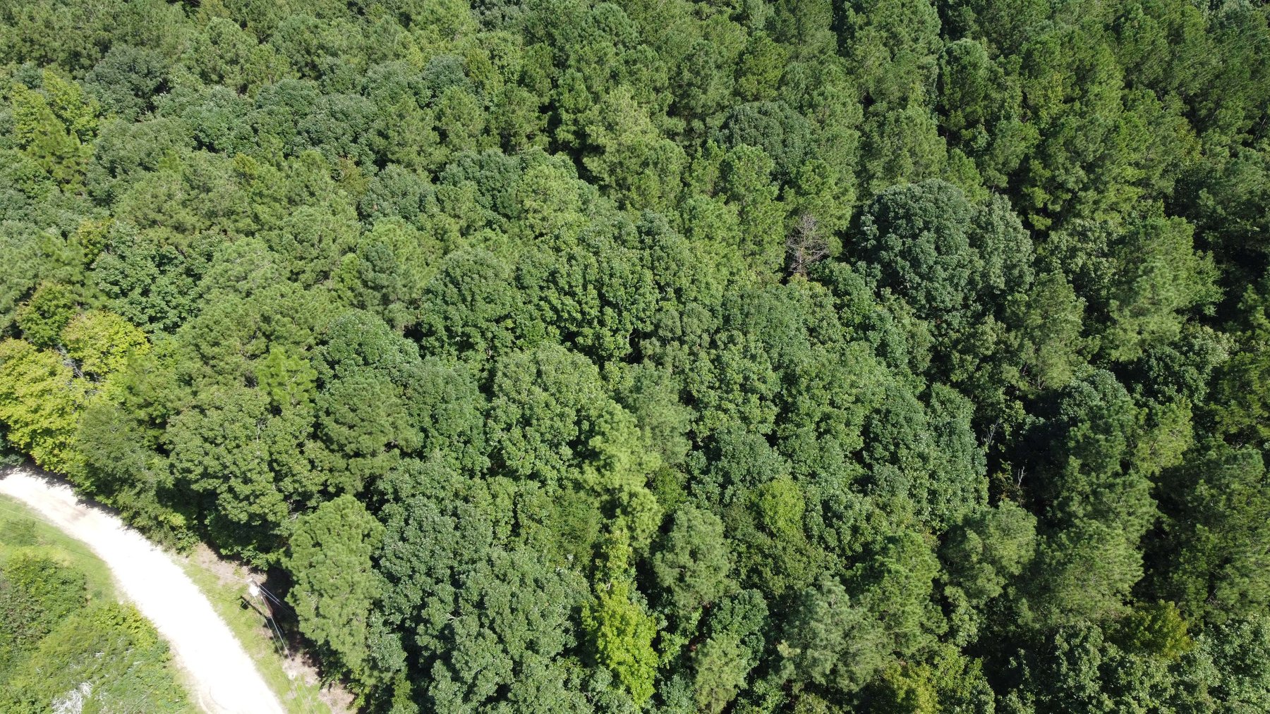 Image for 68+ Acres divided into 8 tracts being sold at Absolute Auction in Southern Harnett County!