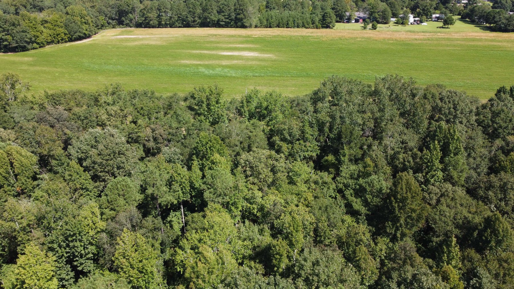 Image for 68+ Acres divided into 8 tracts being sold at Absolute Auction in Southern Harnett County!