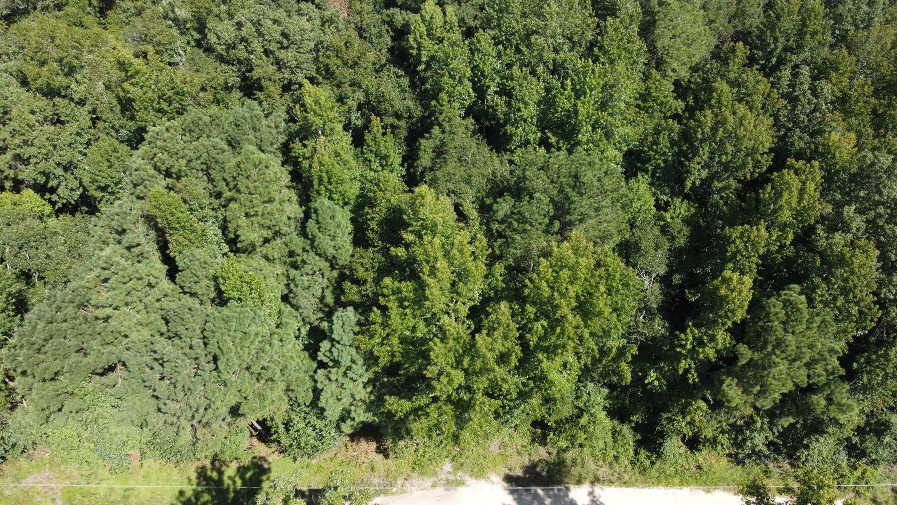 Image for 68+ Acres divided into 8 tracts being sold at Absolute Auction in Southern Harnett County!