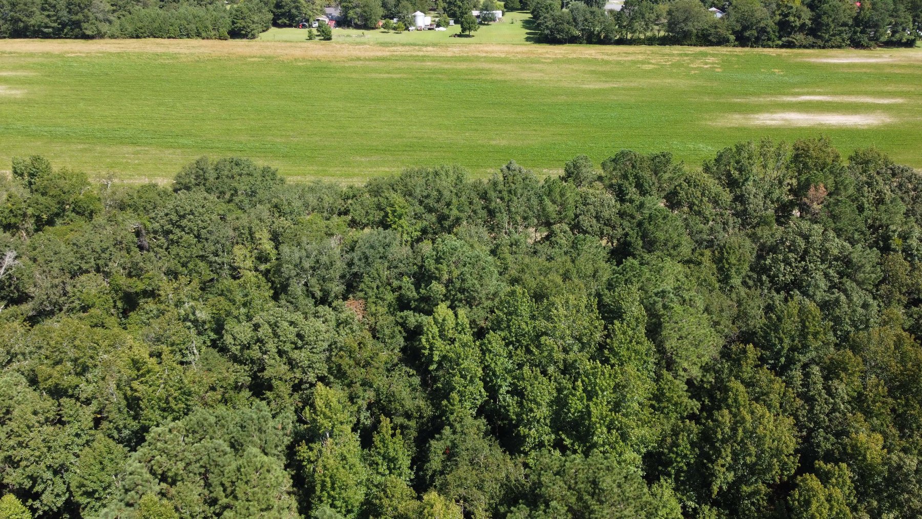 Image for 68+ Acres divided into 8 tracts being sold at Absolute Auction in Southern Harnett County!