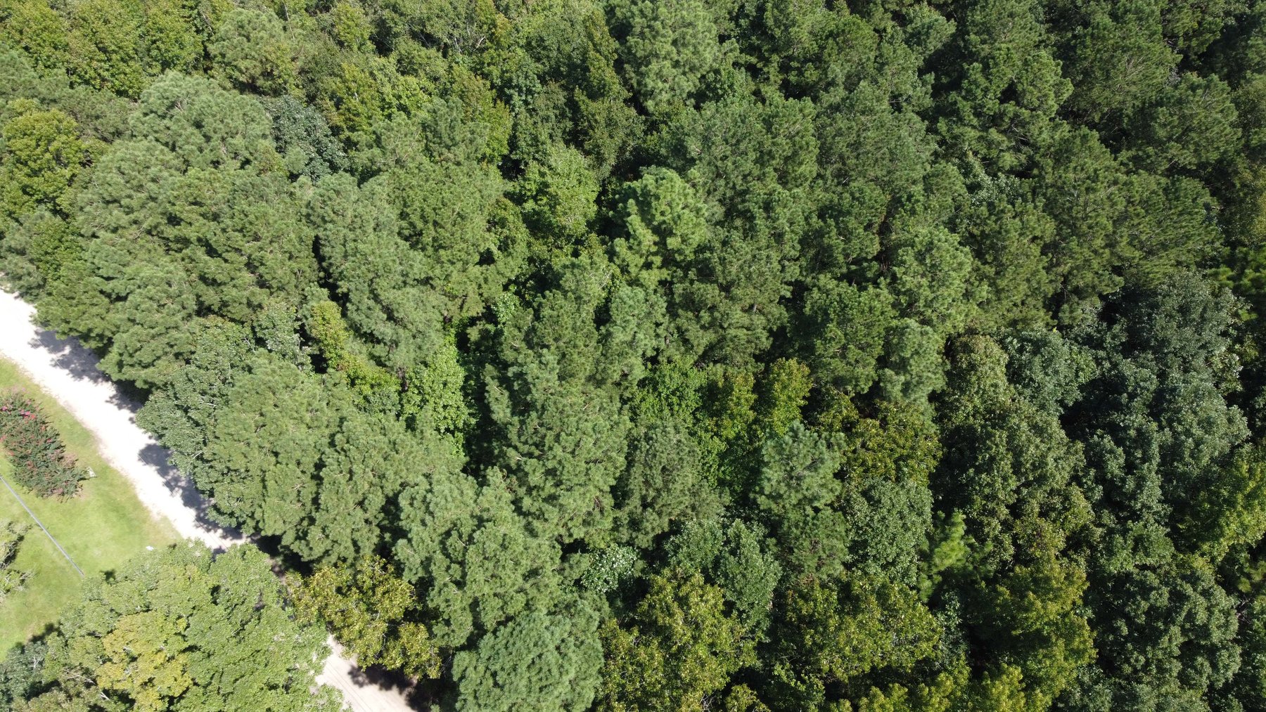 Image for 68+ Acres divided into 8 tracts being sold at Absolute Auction in Southern Harnett County!