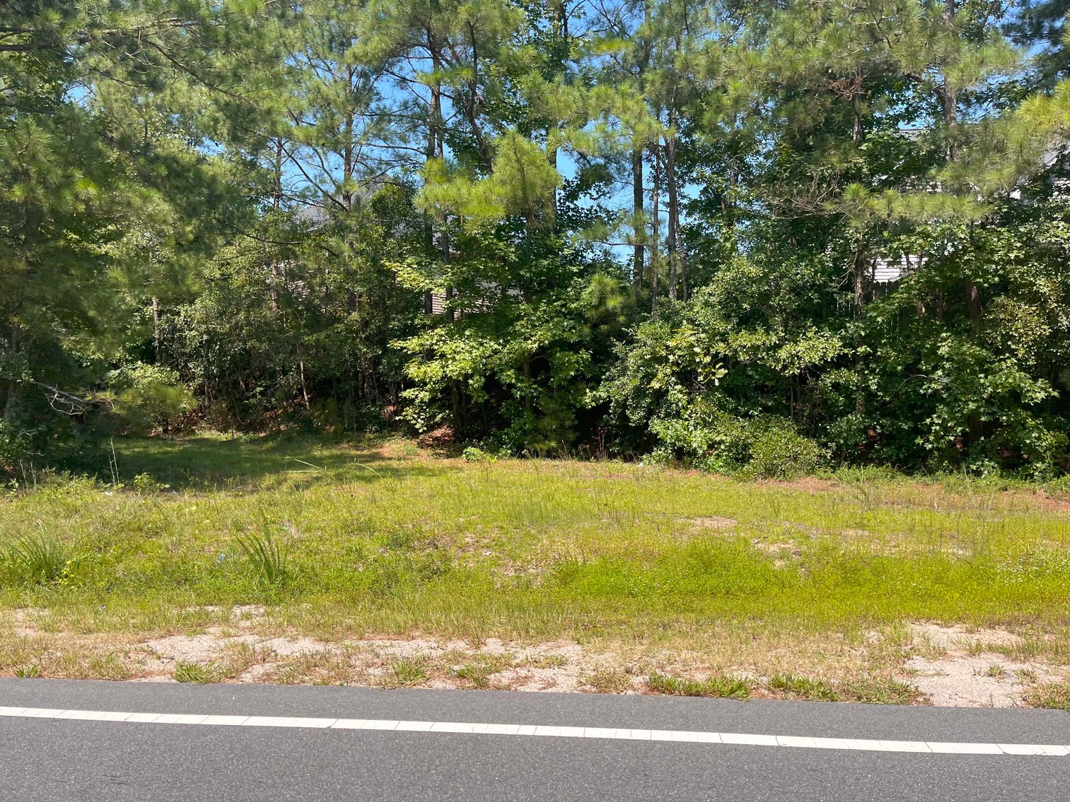 Image for 68+ Acres divided into 8 tracts being sold at Absolute Auction in Southern Harnett County!