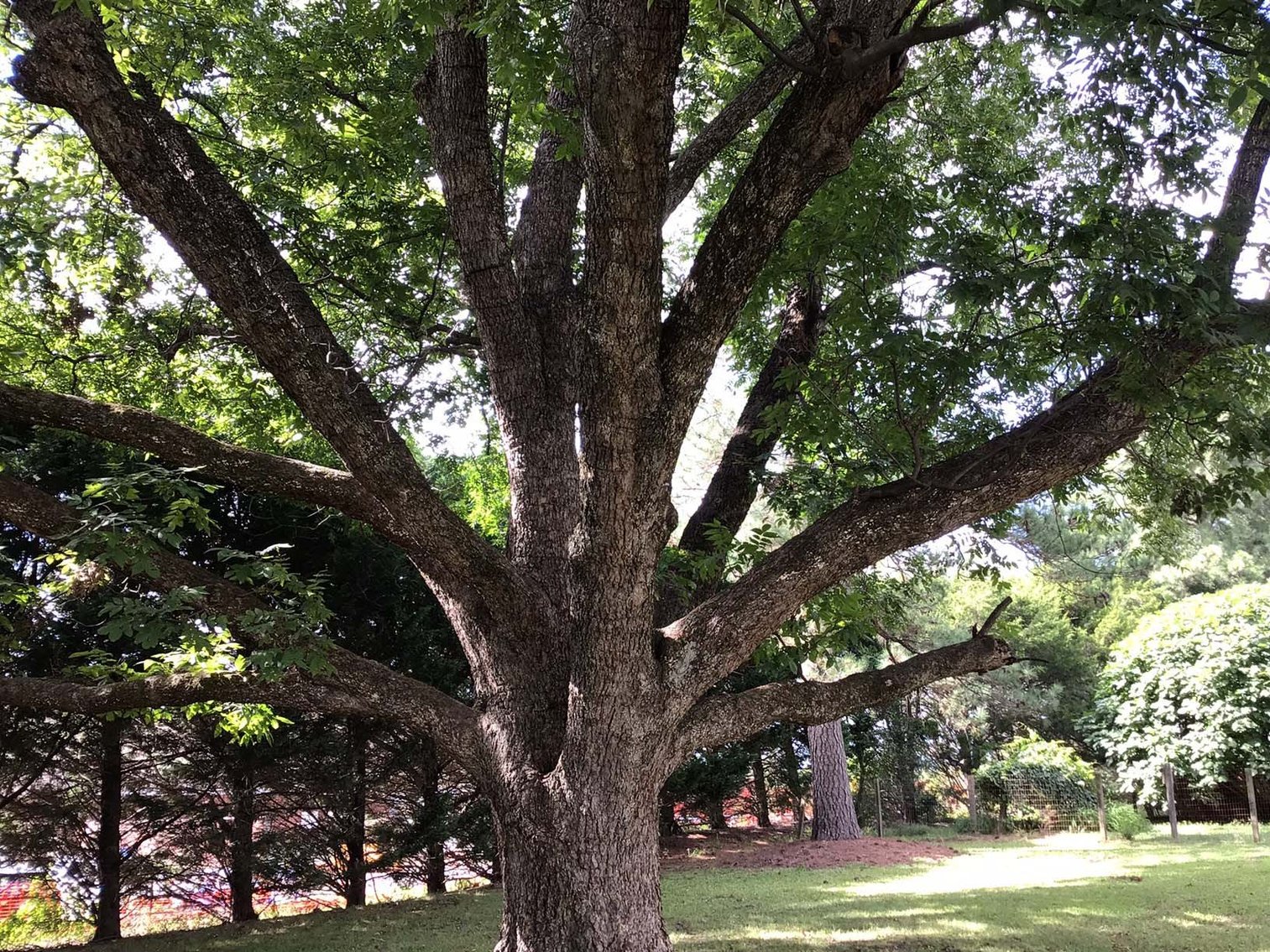 Image for Once in a Lifetime Chance at an Apex Home!