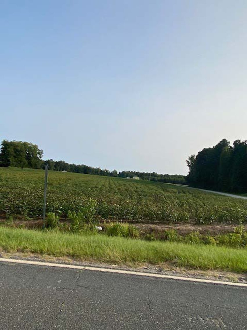 Image for 3 Homes, 48+/- acres divided into 9 tracts with Harnett County Water and Sewer! Live / Online / Simulcast Auction held at JP Headquarters!