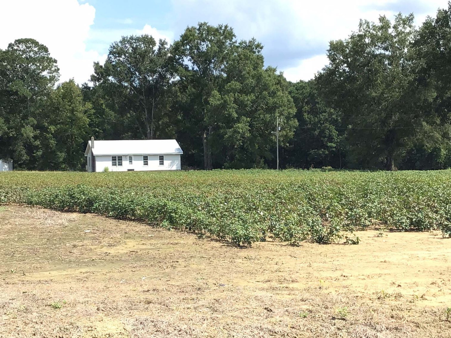 Image for 3 Homes, 48+/- acres divided into 9 tracts with Harnett County Water and Sewer! Live / Online / Simulcast Auction held at JP Headquarters!