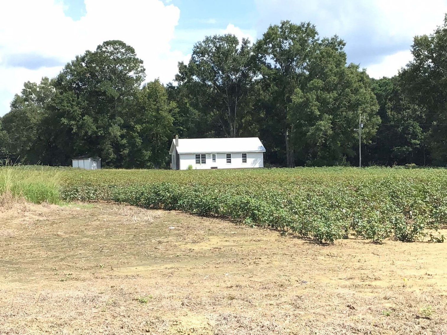 Image for 3 Homes, 48+/- acres divided into 9 tracts with Harnett County Water and Sewer! Live / Online / Simulcast Auction held at JP Headquarters!