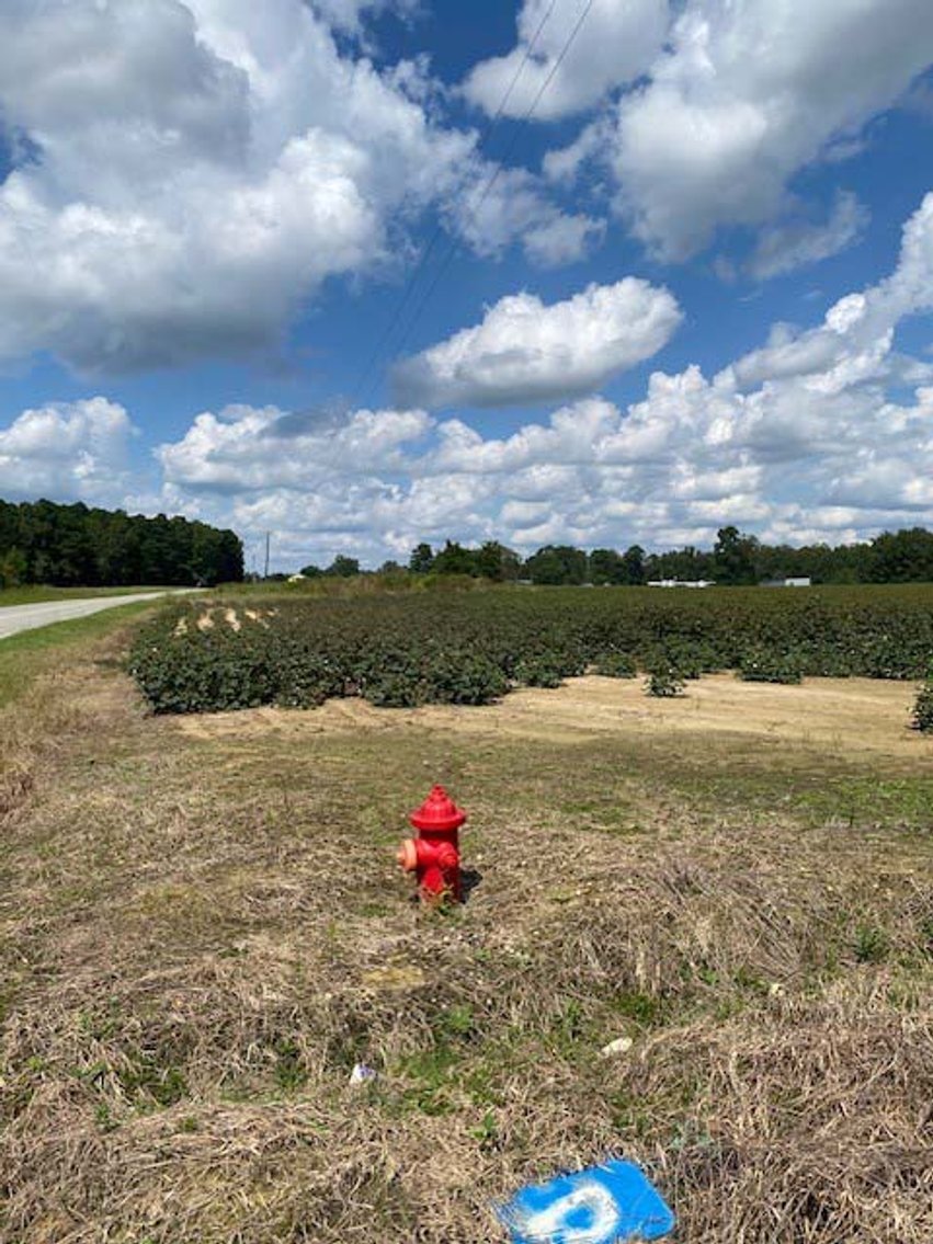 Image for 3 Homes, 48+/- acres divided into 9 tracts with Harnett County Water and Sewer! Live / Online / Simulcast Auction held at JP Headquarters!
