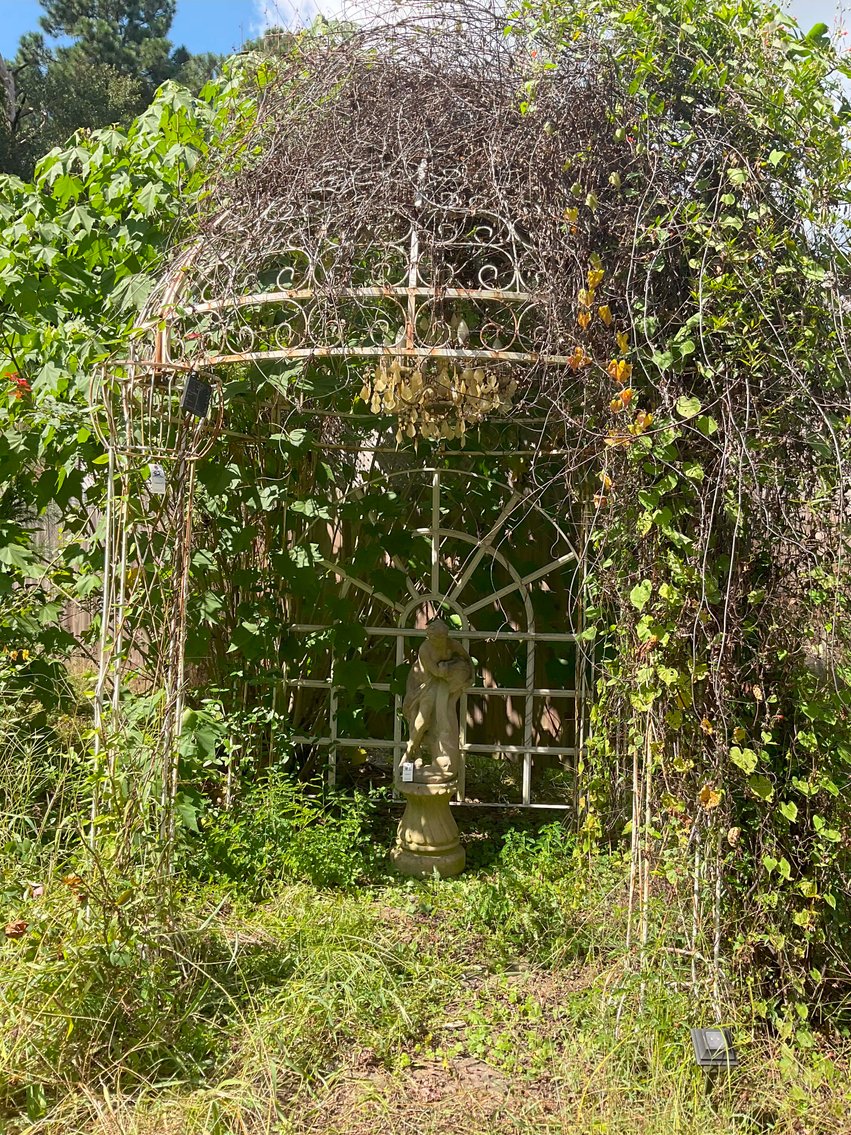 Image for Lots of Furniture, Outside Chairs, and more from a Local Wedding Venue selling at Absolute Auction in this Online Only Event