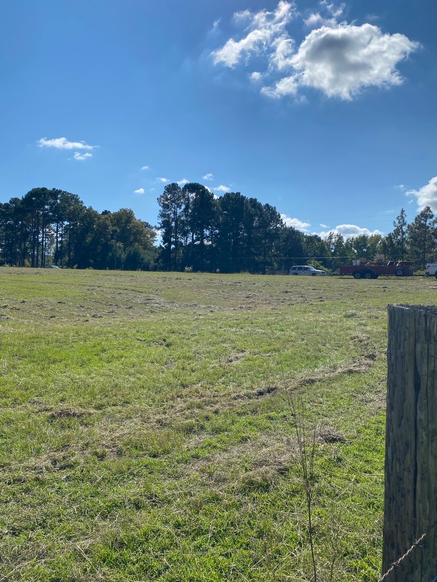 Image for 46+ Acres Divided into 9 tracts, a Super Home with over 2 acres in Harnett County, NC!  Online / Live / Simulcast Auction Held at the JP Headquarters in Angier!