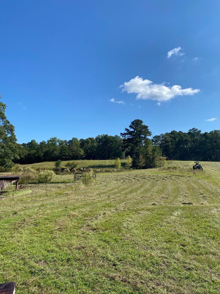 Image for 46+ Acres Divided into 9 tracts, a Super Home with over 2 acres in Harnett County, NC!  Online / Live / Simulcast Auction Held at the JP Headquarters in Angier!