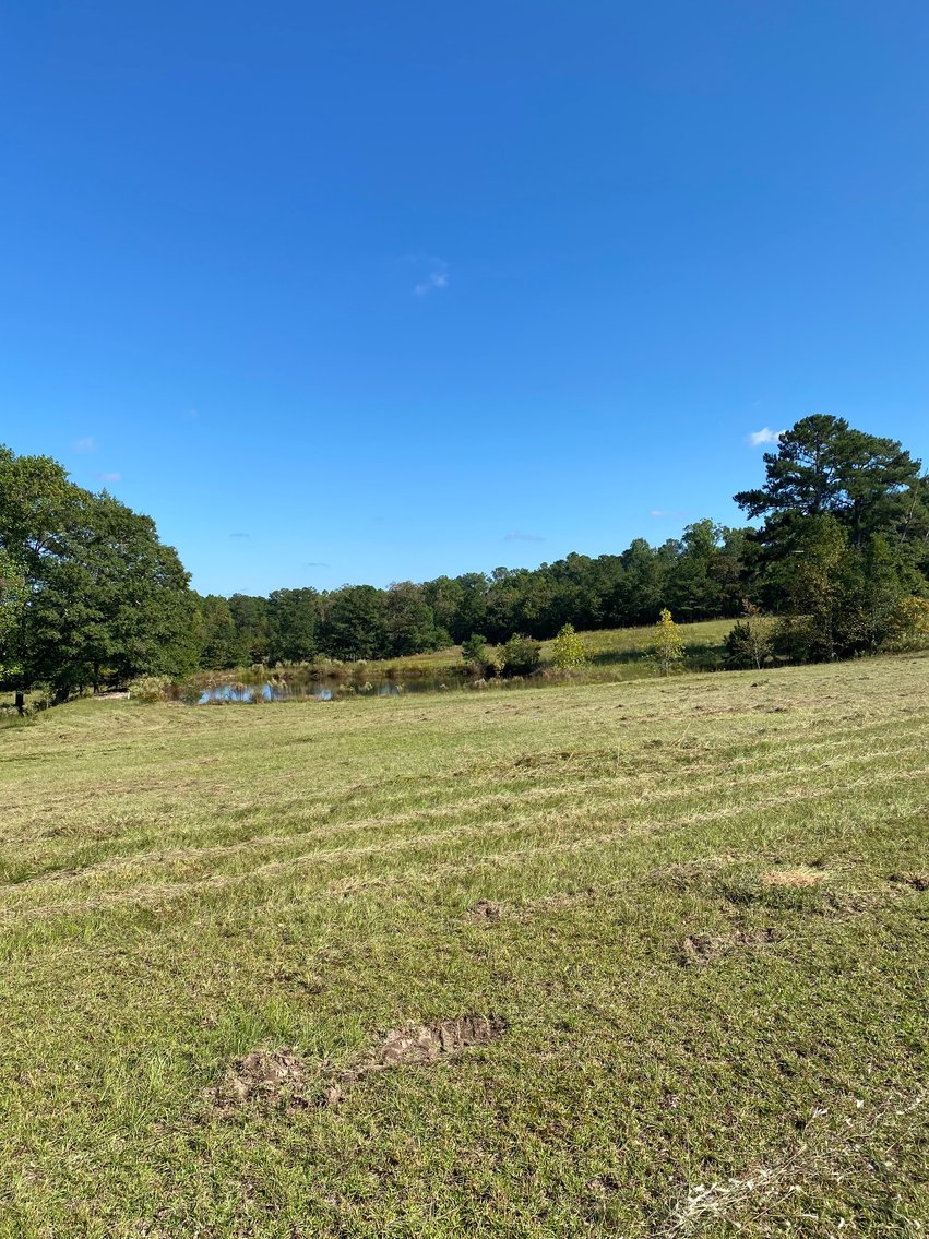 Image for 46+ Acres Divided into 9 tracts, a Super Home with over 2 acres in Harnett County, NC!  Online / Live / Simulcast Auction Held at the JP Headquarters in Angier!