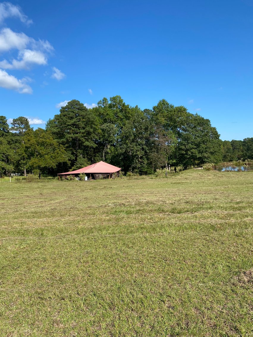 Image for 46+ Acres Divided into 9 tracts, a Super Home with over 2 acres in Harnett County, NC!  Online / Live / Simulcast Auction Held at the JP Headquarters in Angier!