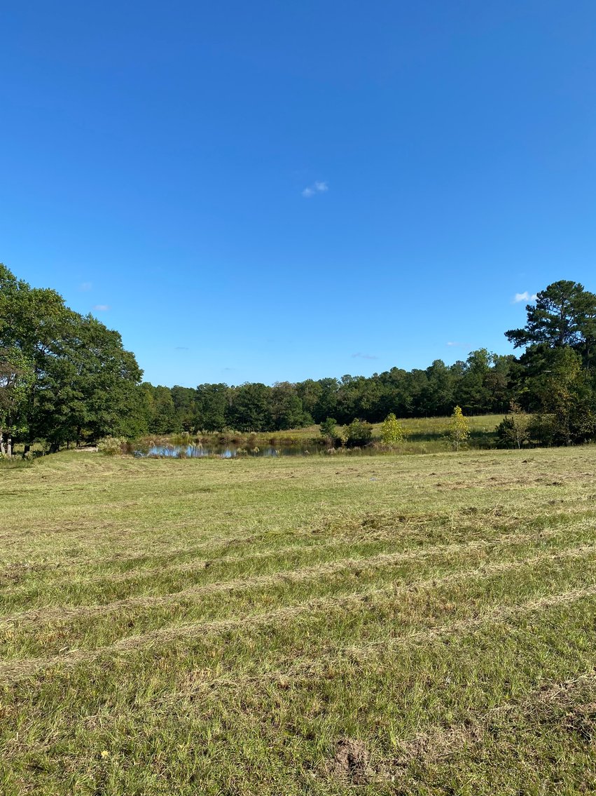 Image for 46+ Acres Divided into 9 tracts, a Super Home with over 2 acres in Harnett County, NC!  Online / Live / Simulcast Auction Held at the JP Headquarters in Angier!