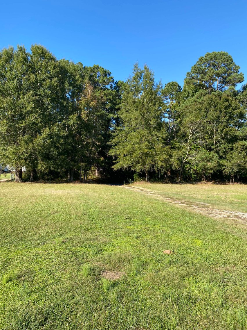 Image for 3 Homes, 48+/- acres divided into 9 tracts with Harnett County Water and Sewer! Live / Online / Simulcast Auction held at JP Headquarters!