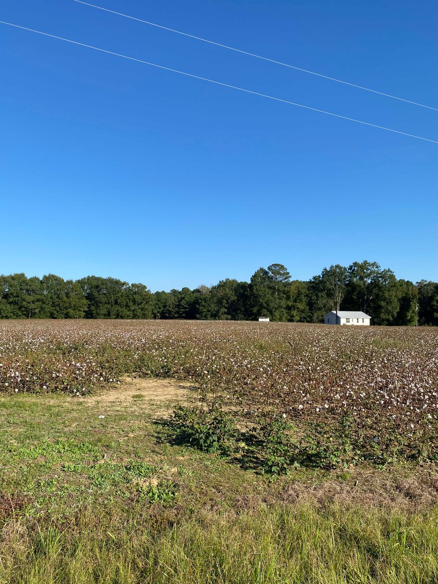 Image for 3 Homes, 48+/- acres divided into 9 tracts with Harnett County Water and Sewer! Live / Online / Simulcast Auction held at JP Headquarters!