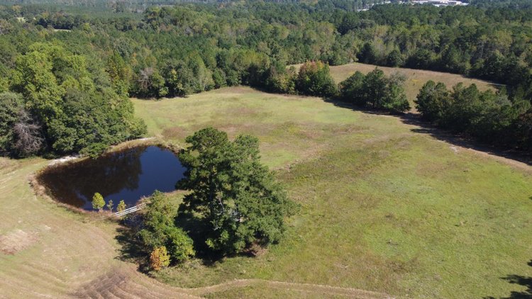 Image for 46+ Acres Divided into 9 tracts, a Super Home with over 2 acres in Harnett County, NC!  Online / Live / Simulcast Auction Held at the JP Headquarters in Angier!
