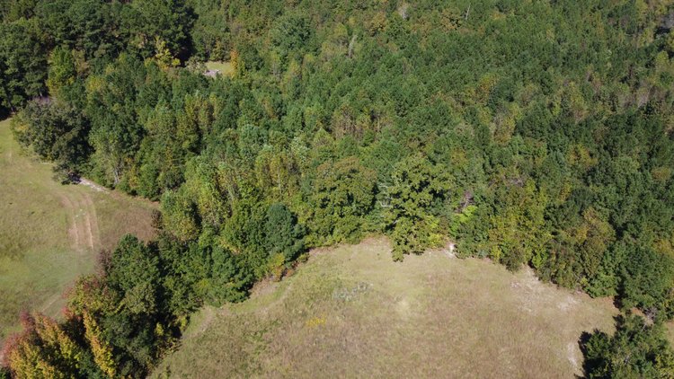 Image for 46+ Acres Divided into 9 tracts, a Super Home with over 2 acres in Harnett County, NC!  Online / Live / Simulcast Auction Held at the JP Headquarters in Angier!