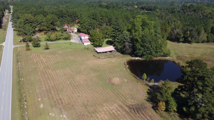 Image for 46+ Acres Divided into 9 tracts, a Super Home with over 2 acres in Harnett County, NC!  Online / Live / Simulcast Auction Held at the JP Headquarters in Angier!