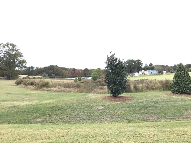 Image for 11.61 Acres in Johnston County with a Pond Selling in a Live / Online / Onsite / Simulcast Auction!