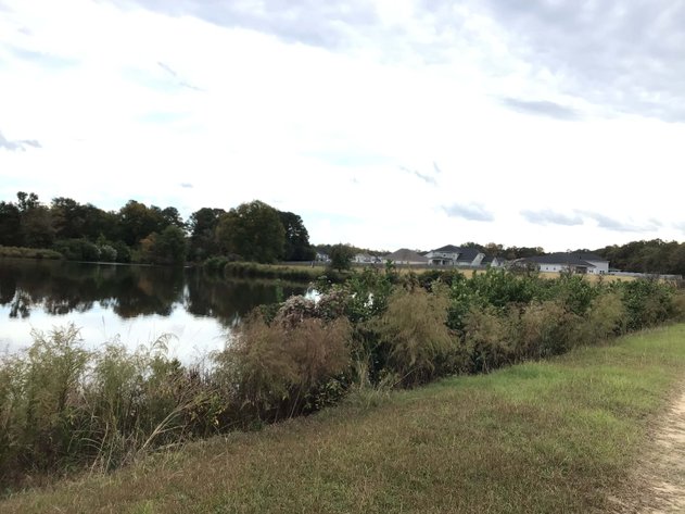 Image for 11.61 Acres in Johnston County with a Pond Selling in a Live / Online / Onsite / Simulcast Auction!